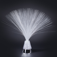 Fiber Optic Lamp